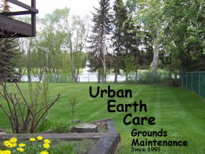 One of Urban Earth Care's clients yards, customer since 1992